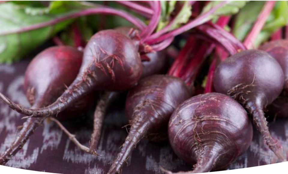 ������� �������� ������� ������: ��� ��������� ������� ����������