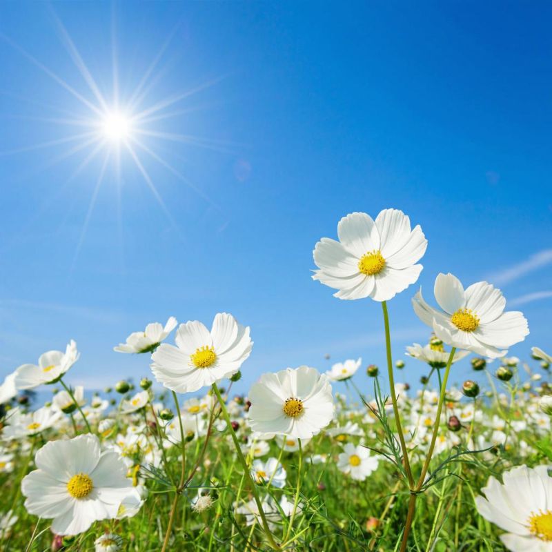 ���������� ���: ������������� �������� ��� ������ ����