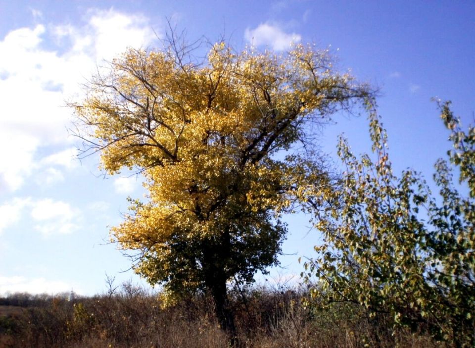 ������ ������������� ����� ������ ���������� ��������� ��������� ��� ��������