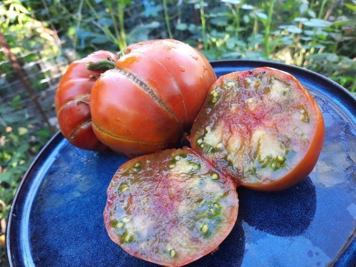 ����� ������ 74: ������� ������ �������������� � ������� �������� ���������