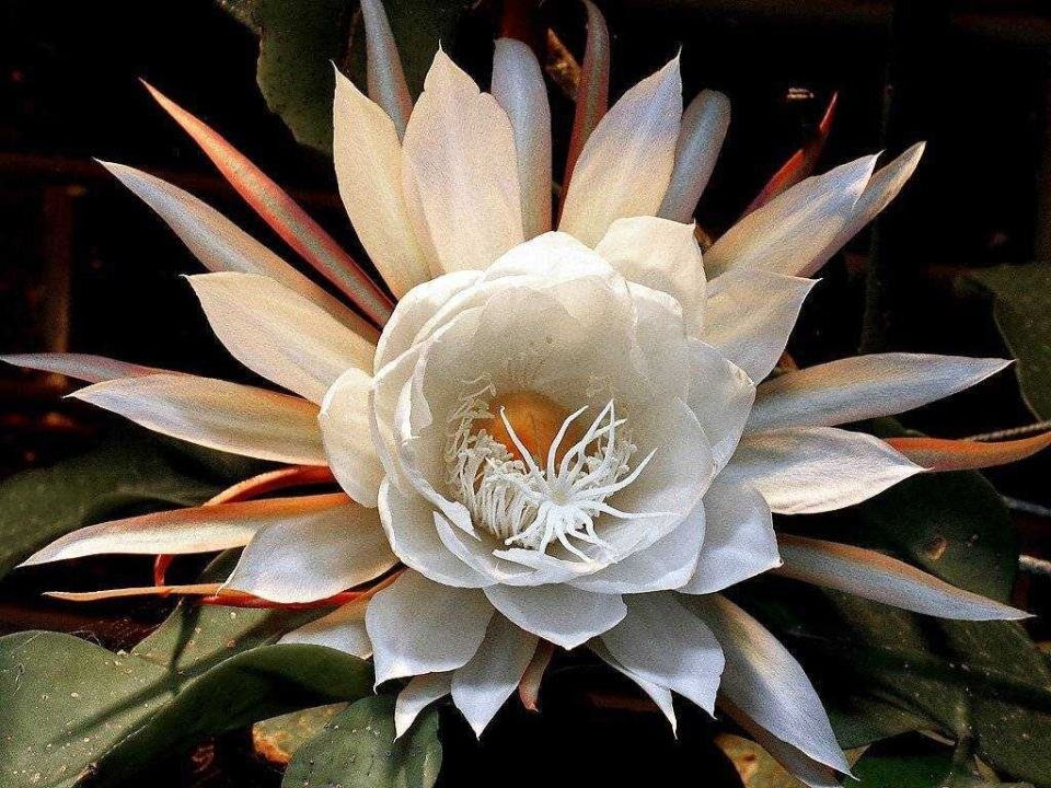 ����� ������� ��������� ��������: ���� ��������� �������� � ��� ���� ������