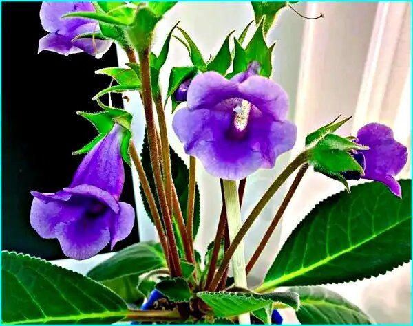 �����: ������� ����� ��������� ��������� � �������� ��������