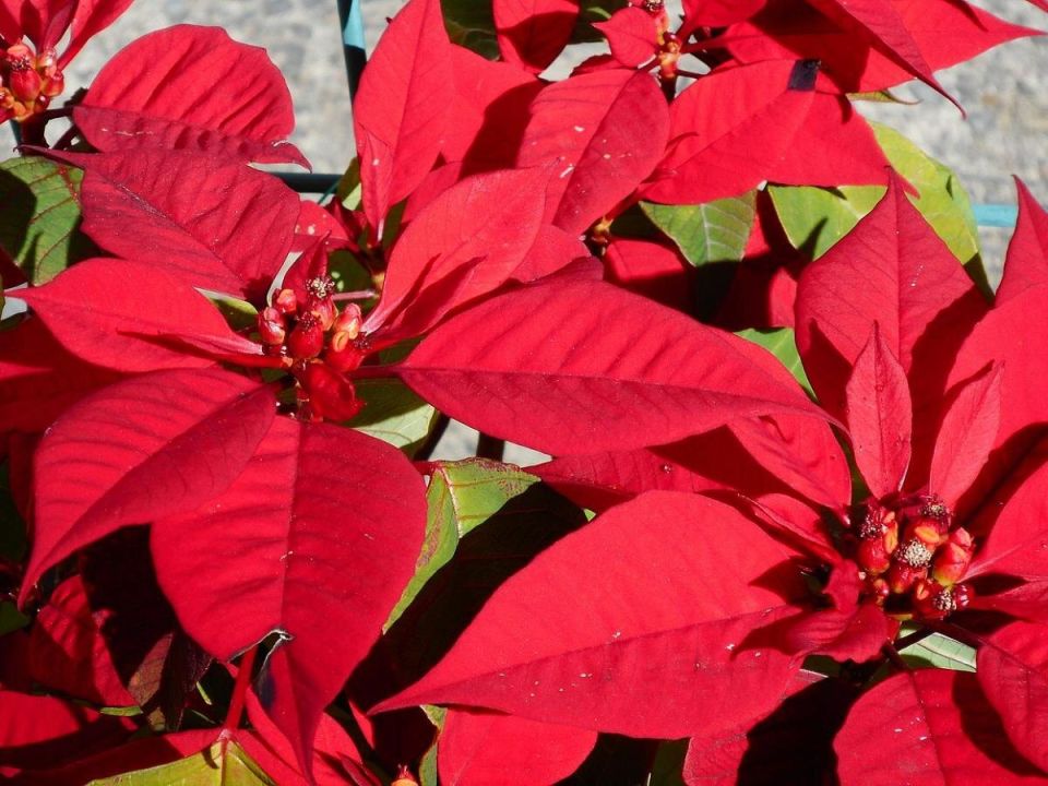 ��� ������� ����������, ����� ��� �������� �� �����