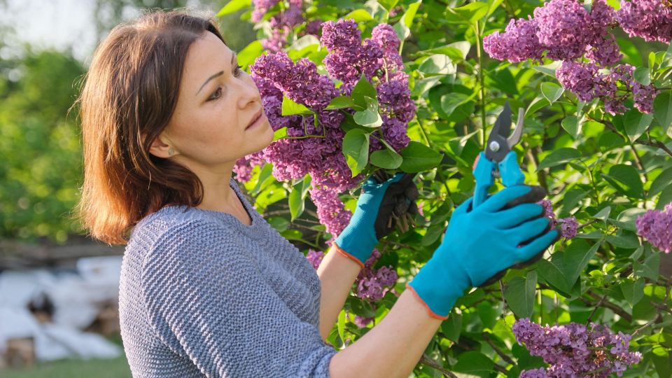 ������ ����� ������ ������, ��� � �������: ������� ����� ���� ���������