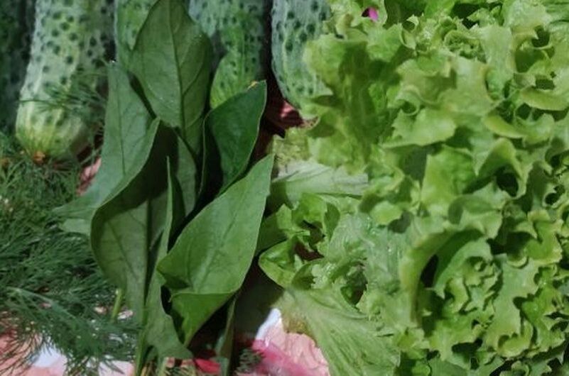 ��� ��������� ������ ������ � ����������� �����: ������ � �������