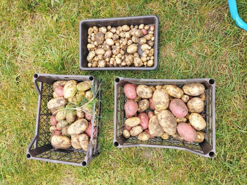 ������ ����� ����� � �������: ����������� ������� �� �����