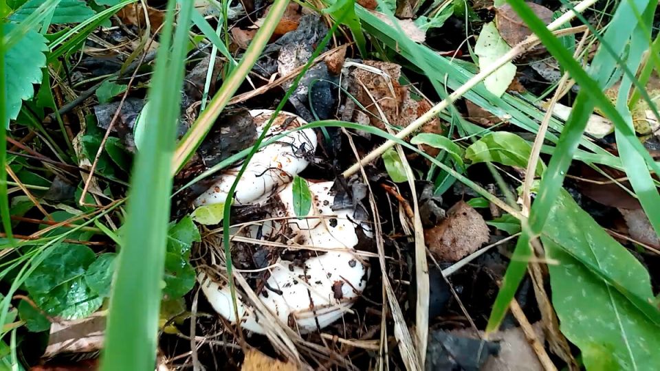 ����� � ������������� �������: ��� ������ � ����� ��������?