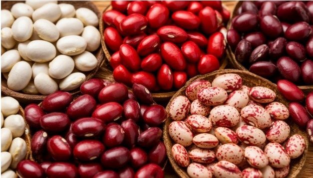 ������������� ��������: ������� � �������� ������ ���������� ����