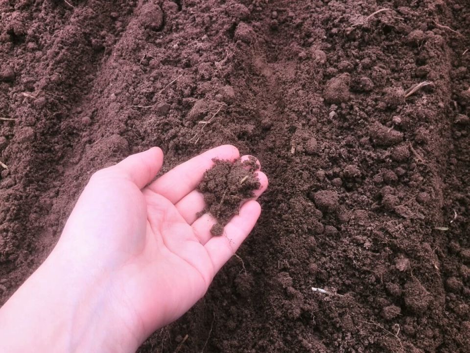 ��� ������� ����� � ������: ������� �������������� �����