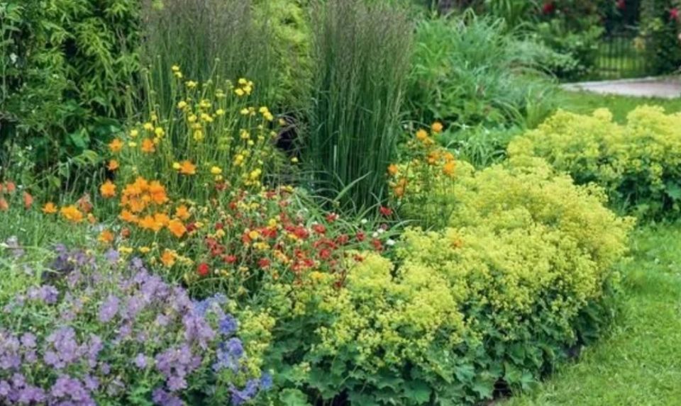 ��������: ������� ������ ��� ������ ����