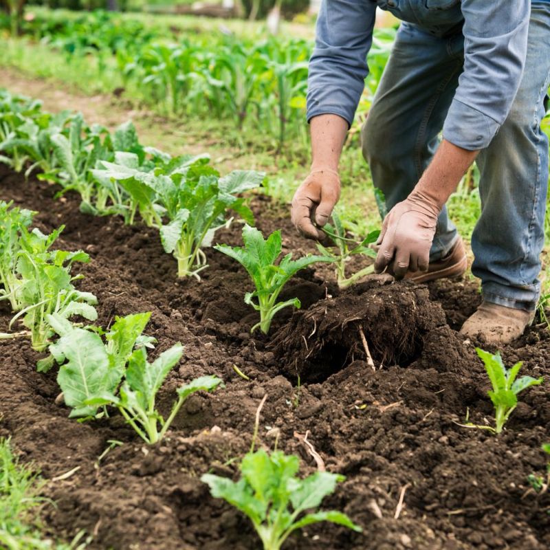 ����� � �������: ������������� �� ��������� �������� �� ����������?