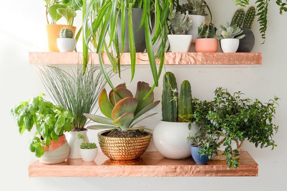 ������������ �������� ��������� ��������: 10 ����� ��������� ��������