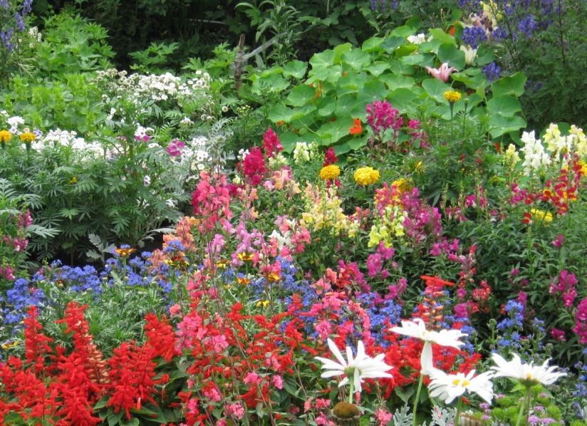 ��������� ����� ������: ������� ��������� ����������