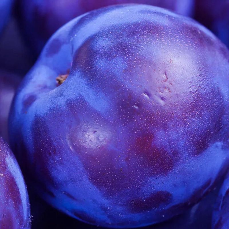 ��� ��������� ��������� �� ������ ������ ��� ��������� ������