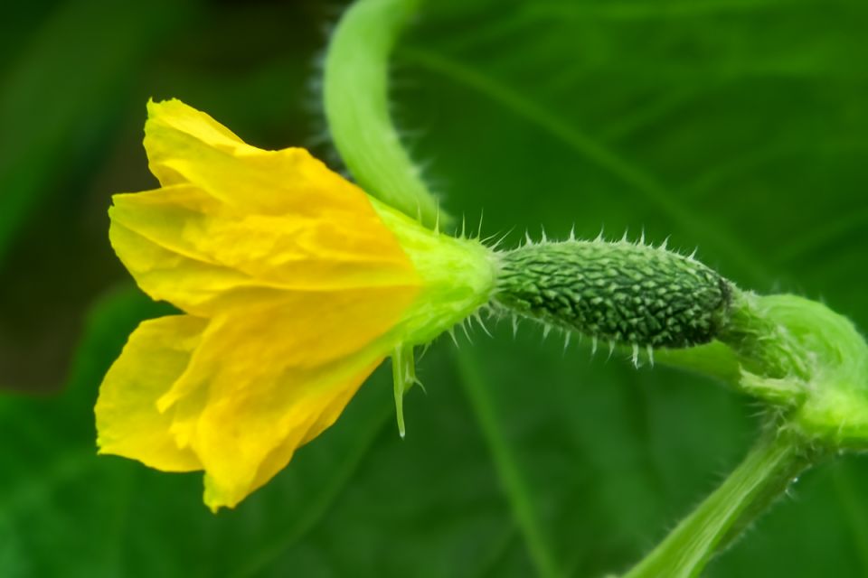 ������ ������ �� ���� �������: �������� ������ ����� � ����