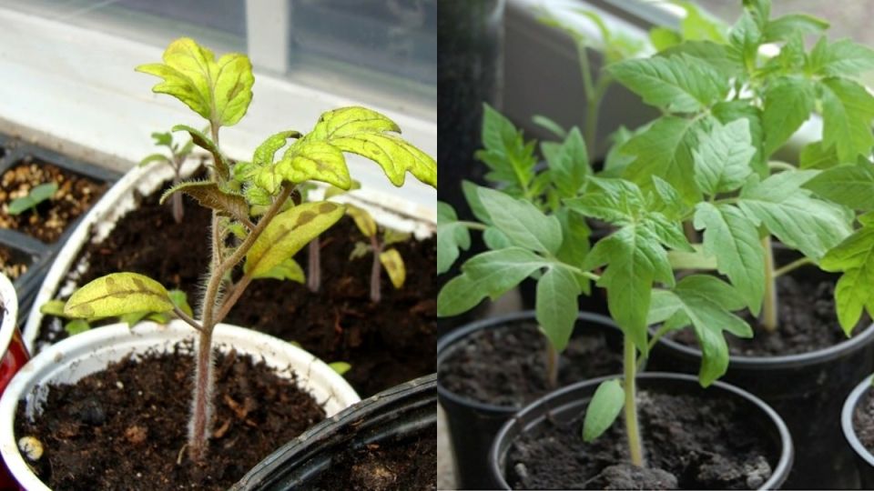 ��� �������� �������� ������� � ������� ������� �������� ���������