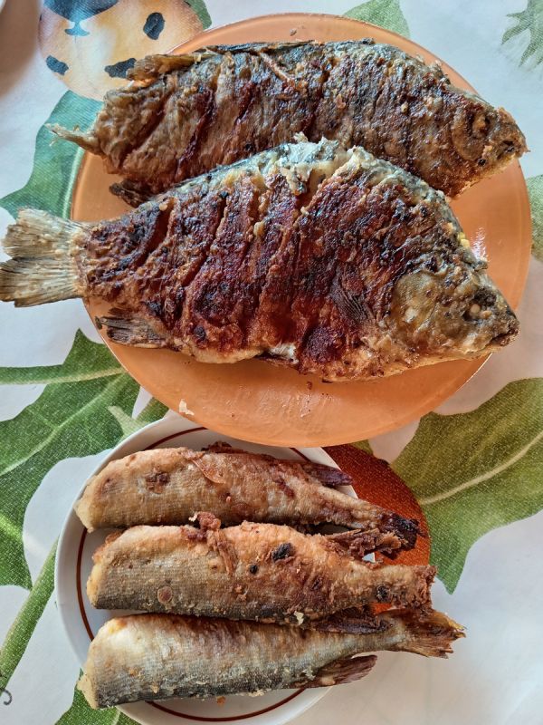 �������� ����� � ������� �������� �� ����