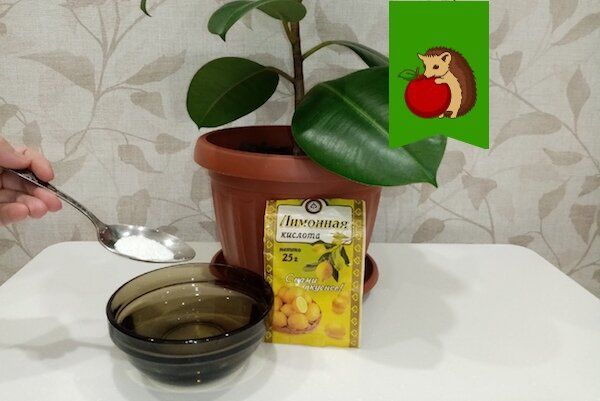 �������� �������: �������� �������� ��� ����������