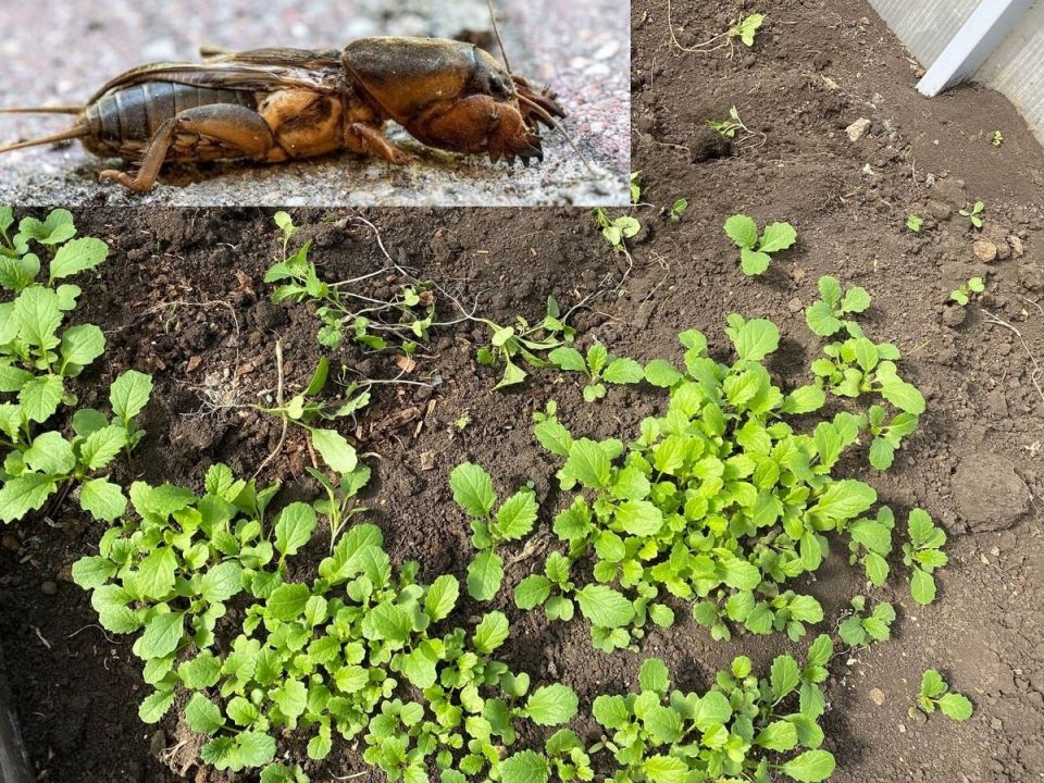 ����������� ������� ������ � ��������� �� ������ �������