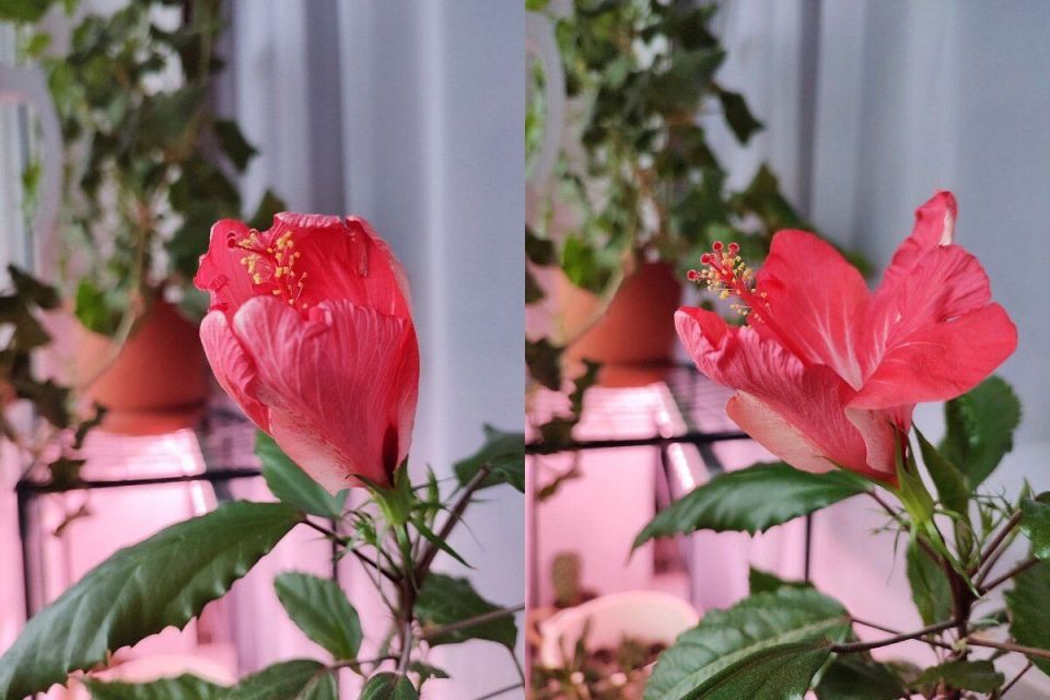 ������ ����� �������� �������� �������� �����