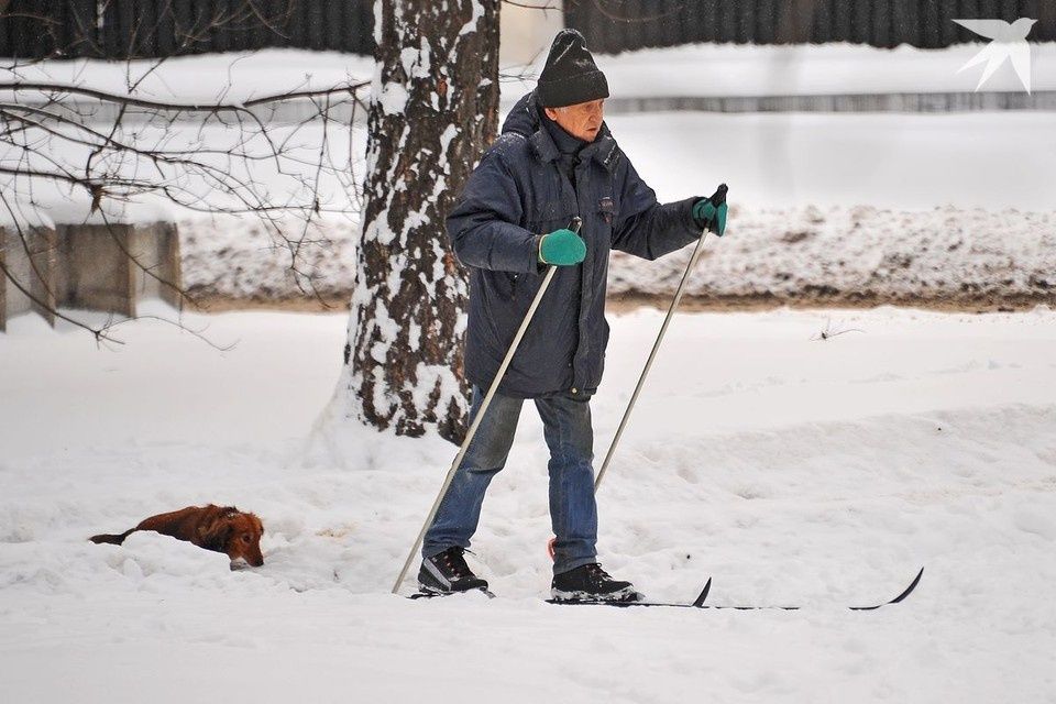 Льготы для белорусских пенсионеров: что предлагает Минтруда