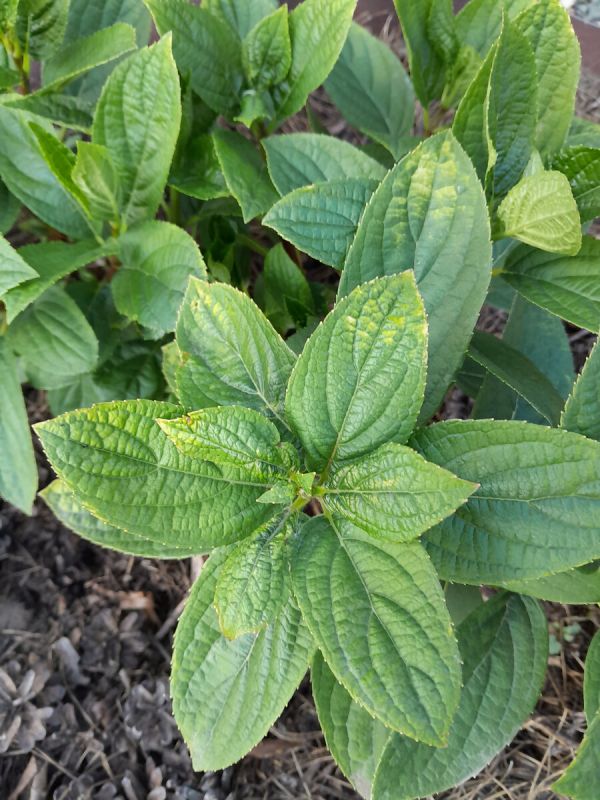 ������ ������� ����� �������: ��� ������ � ����������